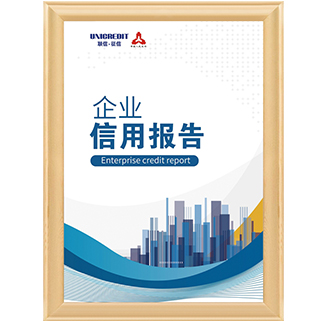 企業(yè)信用報告